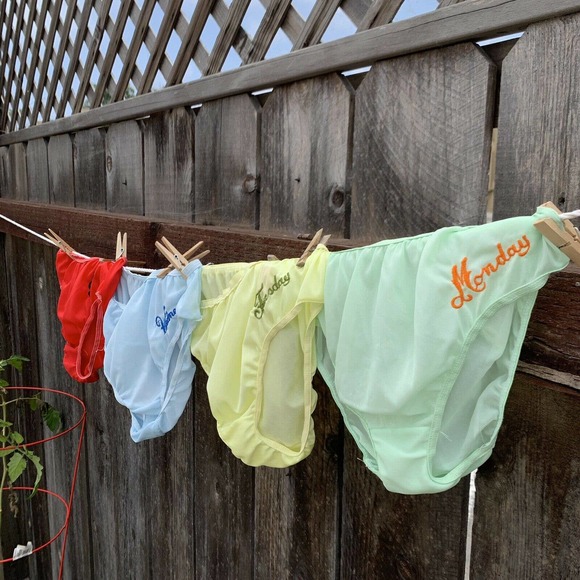 Vintage Other - Vintage 1960's Panties Day of the Week Deadstock